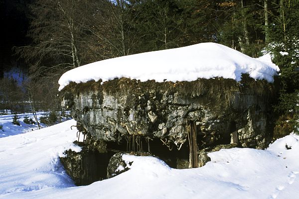 Bunkry linie Arpád