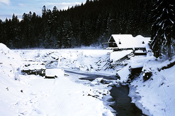 Muzeum lesnictví a vorařství