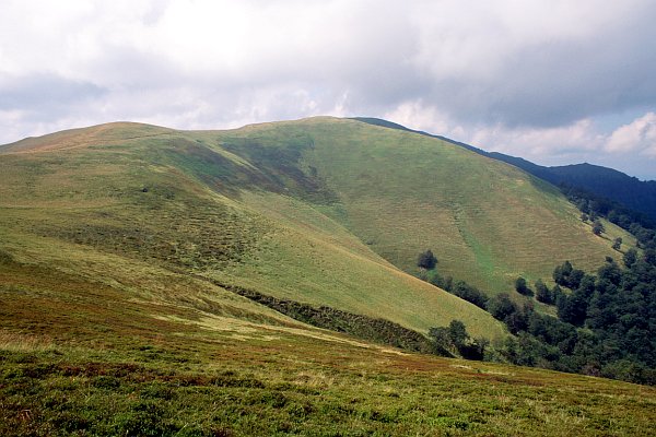 Vrch Temnatik, začátek poloniny Boržava