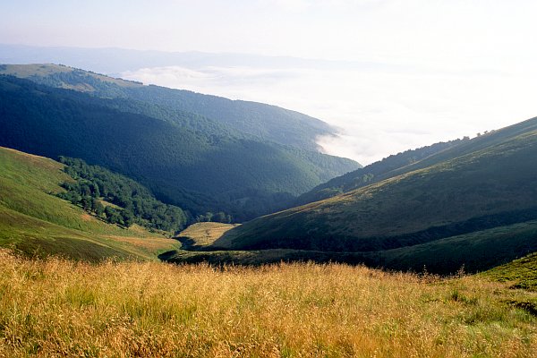 Ráno na polonině Boržava