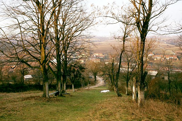 Svatá Helena