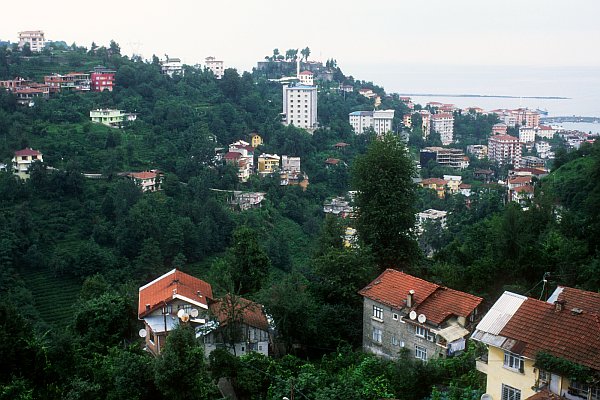 Rize, město čaje