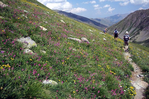 Pohoří Kačkar, rozkvetlé louky nad Olgunlarem