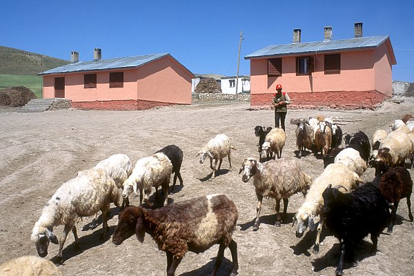 Kurdské vesnice u Dogubayazitu