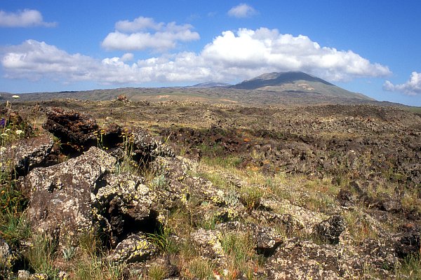 Sopka Tendurek Dagi