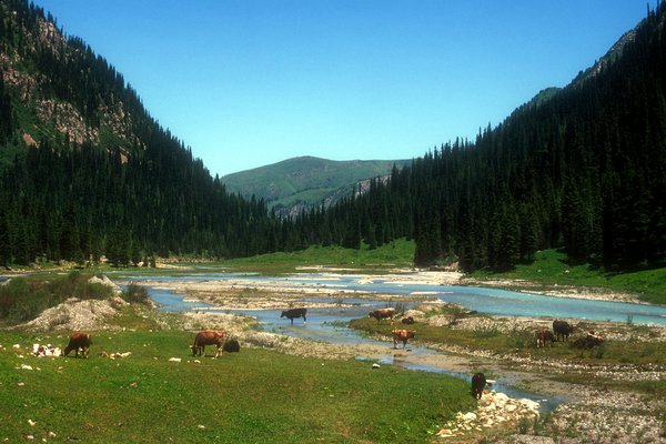 Sestup údolím Karakol