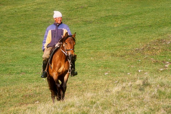 Pastevec v údolí Tjup