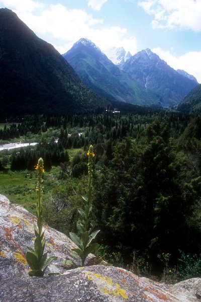 Národní park Ala-Arča