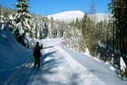 Krkonoše, cesta z Rezku na Dvoračky, 18.1.2004,