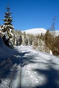 Krkonoše, pohled na Kotel, 18.1.2004,