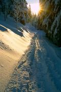 Krkonoše, cesta z Dvoraček do Bratrouchova, 18.1.2004,