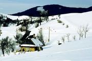 Ukrajina, Zakarpatská oblast, Siněvirské sedlo, 29.12.2003.