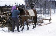 Ukrajina, Zakarpatská oblast, Nehrovec, 30.12.2003.