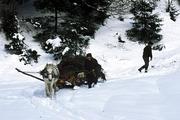 Ukrajina, Zakarpatská oblast, údolí Ozerjanky - Čorné Riky, 29.12.2003.