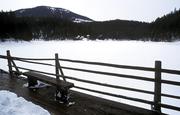 Ukrajina, Zakarpatská oblast, Siněvirské jezero, 31.12.2003.