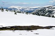 Krkonoše, pohled na západní Krkonoše od Luční boudy, v pozadí Zlaté návrší, Labský důl a Vysoké Kolo, 13.5.2005