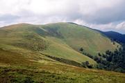 Ukrajina, Zakarpatská oblast, polonina Boržava, 14.8.2005, vrch Temnatik (1347 m).