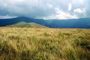 Ukrajina, Zakarpatská oblast, polonina Boržava, 14.8.2005, pohled z vrcholy Plaj (1334 m) na druhý nejvyšší vrchol Boržavy Velikij Verch (1598 m).