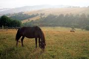 Ukrajina, Zakarpatská oblast, 16.8.2005, ráno nad vesnicí Tjuška.