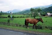 Ukrajina, Zakarpatská oblast, 17.8.2005, Siněvir.