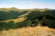 Ukrajina, Zakarpatská oblast, polonina Krásna, 19.8.2005, sedlo pod vrcholem Klimova (1492 m), v pozadí Gropa (1494 m).