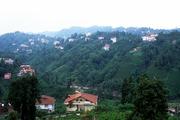 Turecko, Rize, 26.7.2007, Rize, město na pobřeží Černého moře proslulé pěstováním čaje.