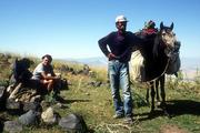 Turecko, 1.8.2007, začátek cesty na Ararat, naši čtyřnozí nosiči.