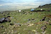 Turecko, 1.8.2007, nomádské stany na svazích Araratu.