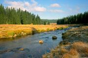 Šumava, Modrava, cesta podél Roklanského potoka, 12.10.2004, Nikon FM3a, Fuji Velvia 50