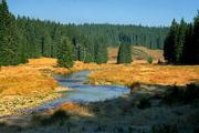 Šumava, Modrava, cesta podél Roklanského potoka, 12.10.2004, Nikon FM3a, Fuji Velvia 50