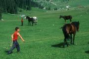 Koně a děti pastevců v údolí Altyn-Arašan.