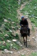 Pastevci v údolí Altyn-Arašan.