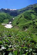 Rusko, Centrální Kavkaz, 6.7.2004, krátký trek k ledovci Schelda a první pohledy na okolní hory.